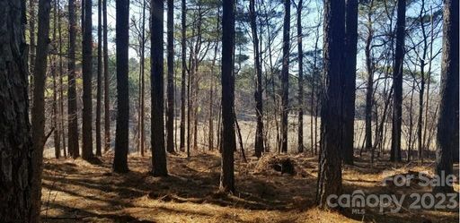 39 Tallwood Drive sold home in Webbs Chapel Cove, Denver, NC