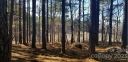 39 Tallwood Drive sold home in Denver, SC