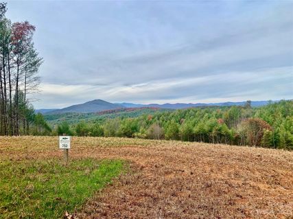 3 61 Acres Lot 752 Painted Ridge Trail