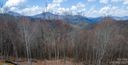 Tbd Lot 33 Poplar Forest Drive sold home in Boone, SC