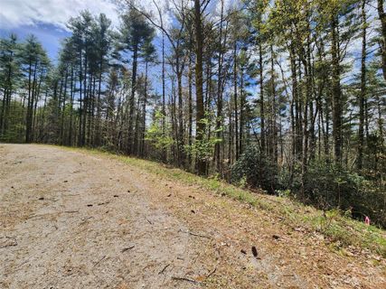 00 Wildlife Drive 15