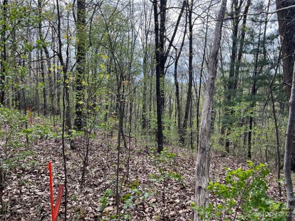 99999 Buffalo Trail 86