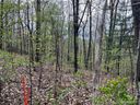 99999 Buffalo Trail 86 sold home in Asheville, SC