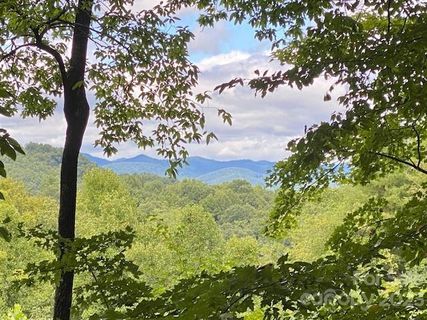 234 Lot 10 Tomahawk Trail