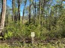 148 Wandering Oaks Way sold home in Asheville, SC