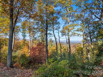 64 Giffords Lane sold home in Pinchot Forest, Asheville, NC