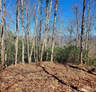 000 Cabin Ridge L & M sold home in Higher Ground Gardens, Cullowhee, NC
