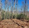 000 Cabin Ridge L & M sold home in Cullowhee, SC