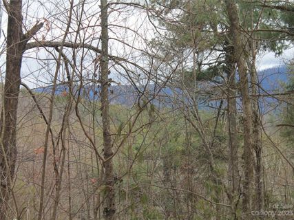 0000 Wildlife Trail active home in Kanuga Ridge, Hendersonville, NC