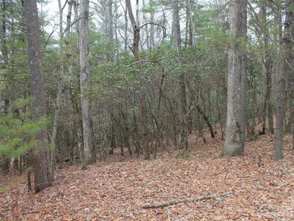 000 Wildlife Trail 1.16 ACRES sold home in Kanuga Ridge, Hendersonville, NC