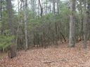 000 Wildlife Trail 1.16 ACRES sold home in Hendersonville, SC