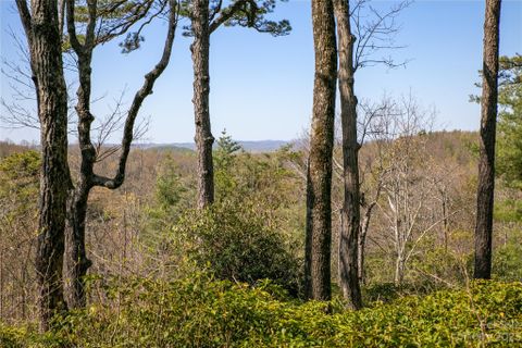 Lot 32 Sahalee Trail sold home in Blue Moon on Pinnacle Peak, Hendersonville, NC