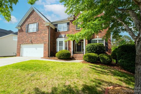 8029 Leonine Court