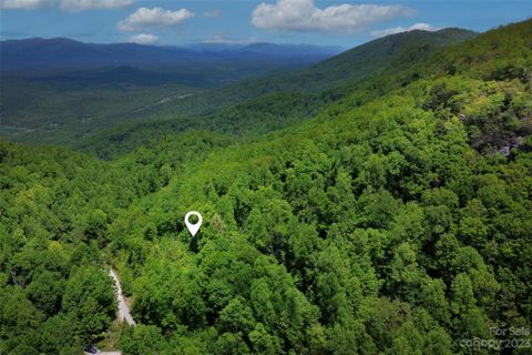 959 Nicey Gap Road