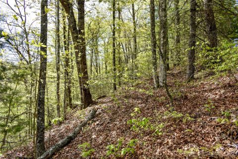 L54 Overlook Ridge Road sold home in Fontana Lake Properties, Bryson City, NC