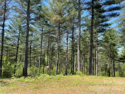 3051 Forest Ridge Road 54