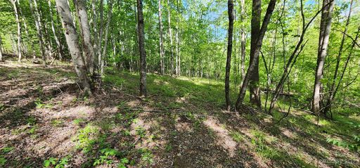 Lot 24 S Cross Creek Trail sold home in Mountain Laurel Estates, Mill Spring, NC