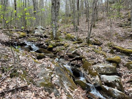 Tbd Red Fox Lane Tract 3 sold home in Beech, Beech Mountain, NC