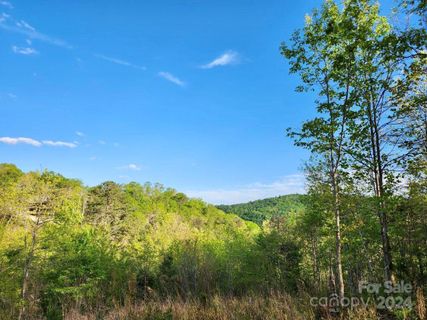 391 Red Fox Trail active home in French Broad Crossing, Marshall, NC