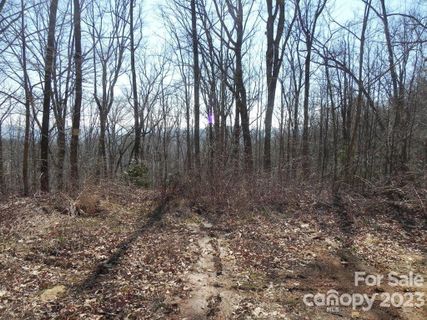 9999 Dj Drive sold home in Butler Mountain Highlands, Fairview, NC