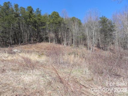 95 Dj Drive 330 sold home in Butler Mountain Highlands, Fairview, NC
