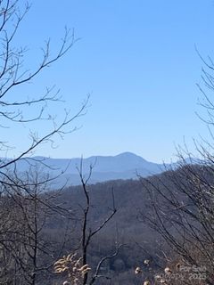 Homes in Butler Mountain Highlands, Fairview
