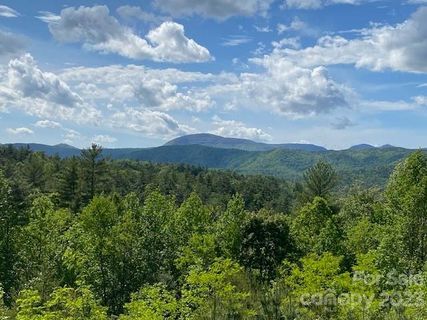 Lot 58 Peppervine Circle