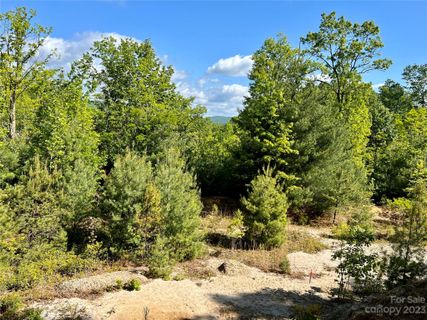 Lot 3a Forest Park Road 3A sold home in Pisgah Forest Farms, Pisgah Forest, NC