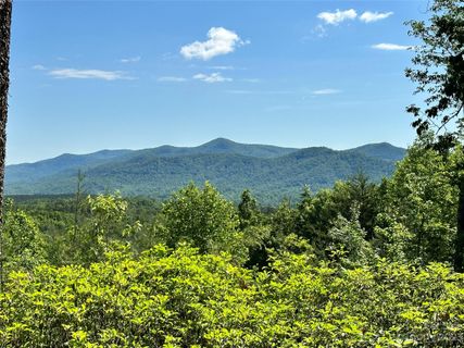 113 Valley View Trail 323