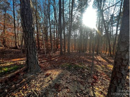 157 Copper Pine Lane active home in Copper Pine, Davidson, NC
