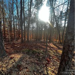 157 Copper Pine Lane