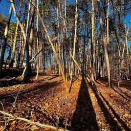 129 Hunt Camp Trail