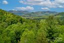 15 Fates Overlook Loop sold home in Black Mountain, SC