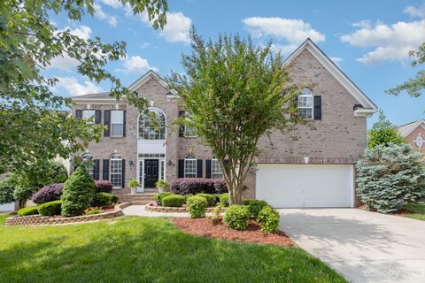 914 Butterburr Drive