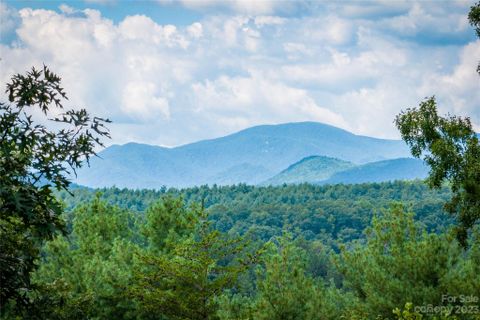 1711 Pisgah Preserve Drive 75