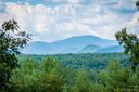 1711 Pisgah Preserve Drive 75 sold home in Nebo, SC