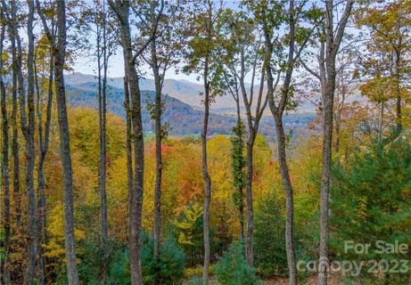 9 Deer Grass Court