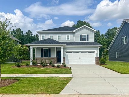 1217 Black Walnut Street 5