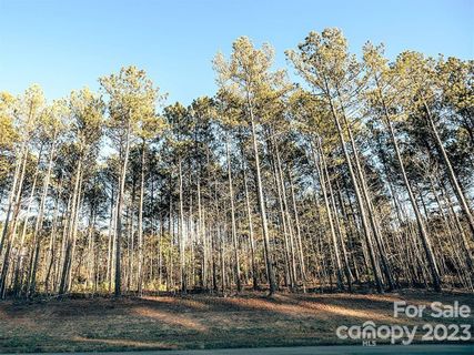 3132 Sherman Drive 17