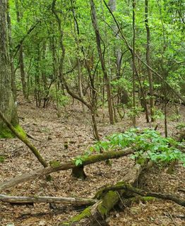 Tbd Minerva Lane 79, 80, & 84 sold home in Bear Wallow Hollow, Sapphire, NC