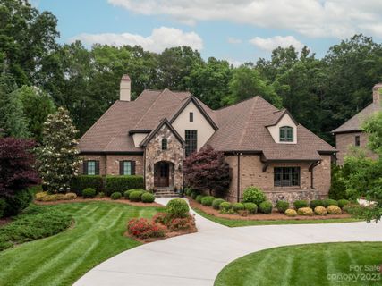 7914 Skye Lochs Drive 43