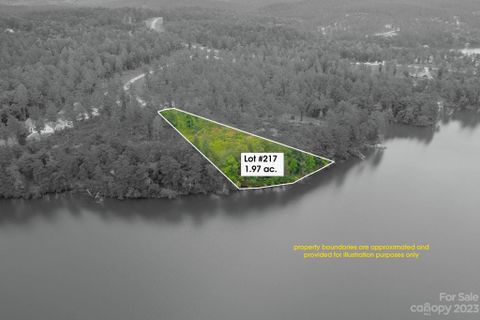 0000 Big View Lane 217