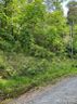 000 Birddog Boulevard sold home in Lake Lure, SC