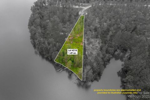 0000 Big View Lane 218