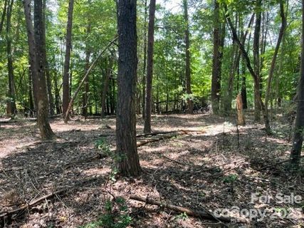4020 Beechwood Spring Lane