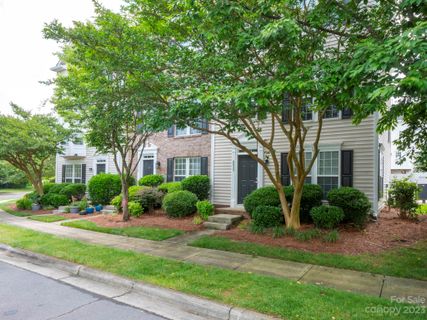 8033 Bristle Toe Lane