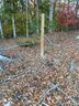 1641 Hart Road sold home in Charlotte, SC