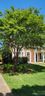 9303 Greenheather Drive sold home in Huntersville, SC