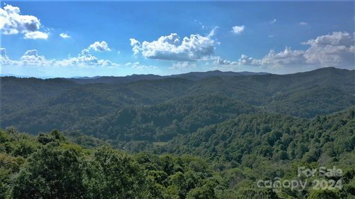 000 Wolf Ridge Road Lot 15 sold home in Wolf Ridge, Mars Hill, NC