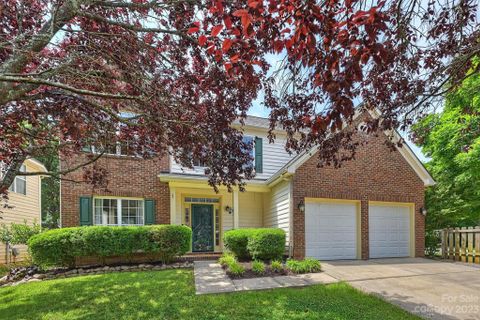 115 Foxtail Drive